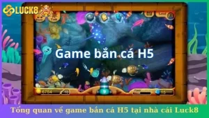 Tổng quan về game bắn cá H5 tại nhà cái Luck8