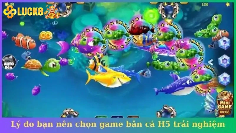 Một số lý do bạn nên chọn game bắn cá H5 trải nghiệm