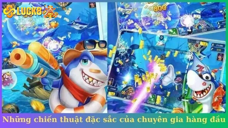 Những chiến thuật đặc sắc của chuyên gia hàng đầu