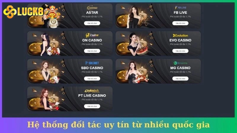 Hệ thống đối tác uy tín từ nhiều quốc gia