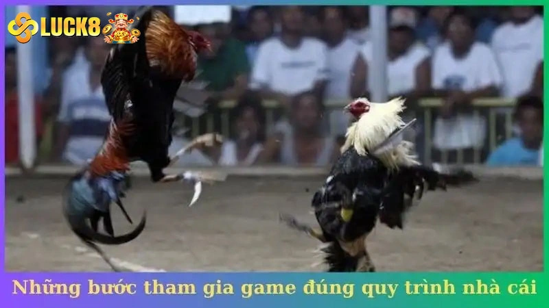 Những bước tham gia game đúng quy trình nhà cái