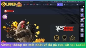 Những thông tin mới nhất về đá gà cựa sắt tại Luck8