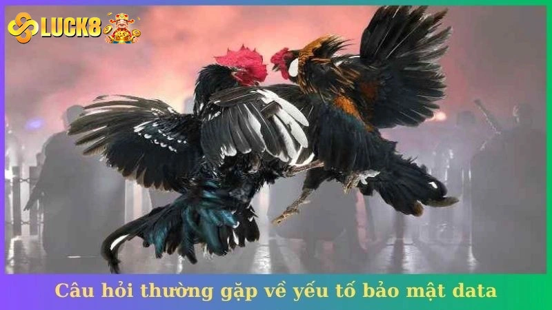 Sự kết nối và hợp tác giữa Luck8 với WS168