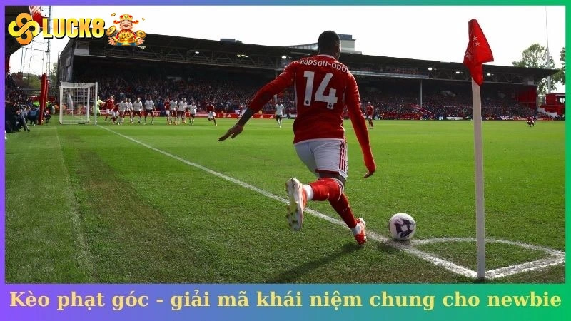 Kèo phạt góc - giải mã khái niệm chung cho newbie