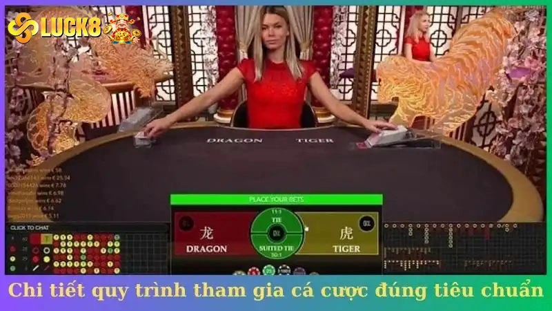 Chi tiết quy trình tham gia cá cược đúng tiêu chuẩn