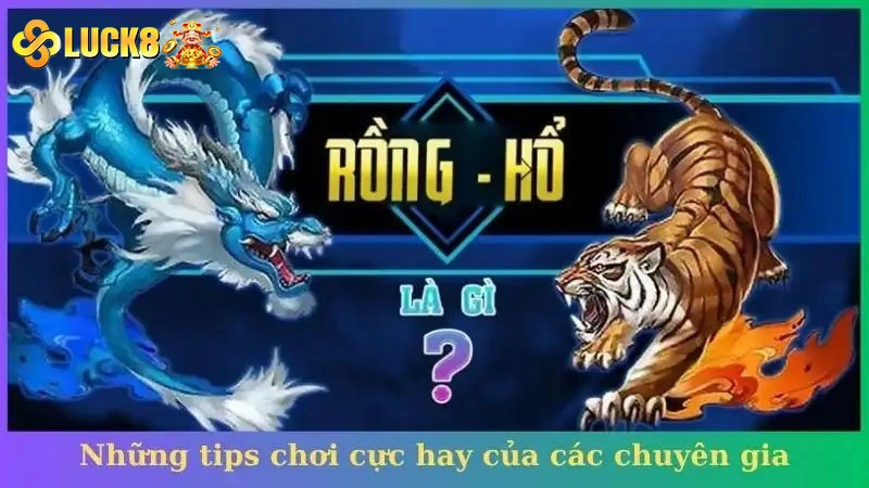 Những tips chơi cực hay của các chuyên gia hàng đầu