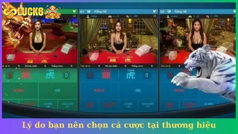 Lý do bạn nên chọn cá cược tại thương hiệu