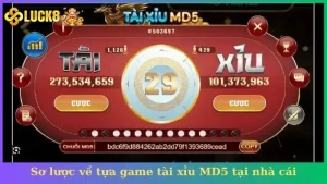 Tài xỉu MD5