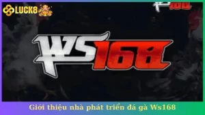 Giới thiệu nhà phát triển đá gà Ws168