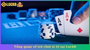 Tổng quan về trò chơi xì tố tại Luck8